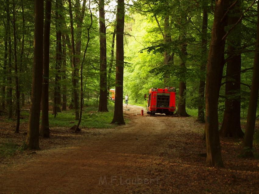 Waldbrand Bergisch Gladbach Bensberg P107.JPG